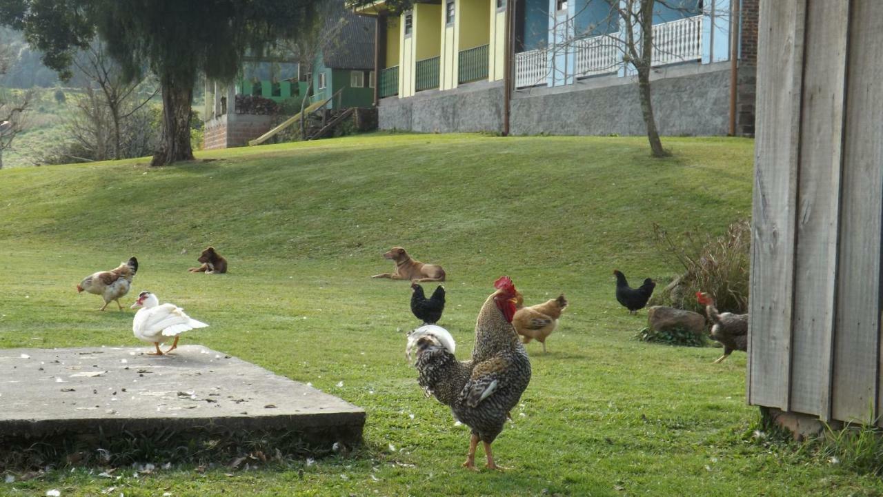 Recanto Dos Pioneiros Nova Petropolis Εξωτερικό φωτογραφία